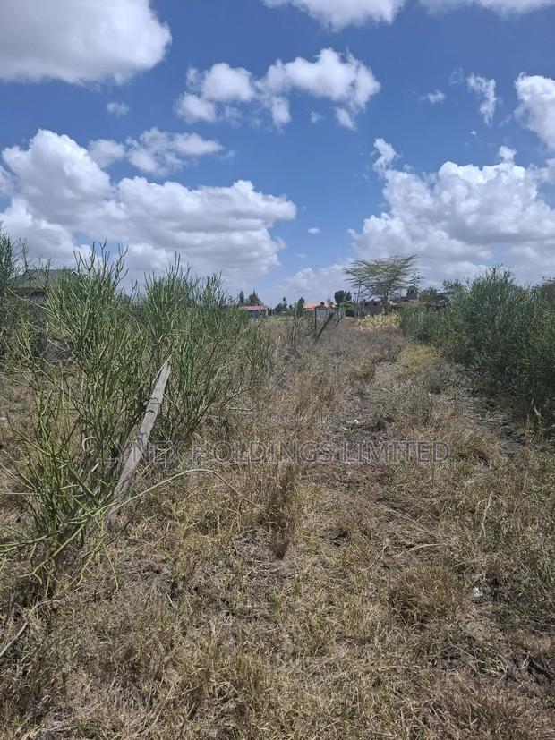 Prime 1/4 Acre Land for Sale in Ruai - thumbnail 6