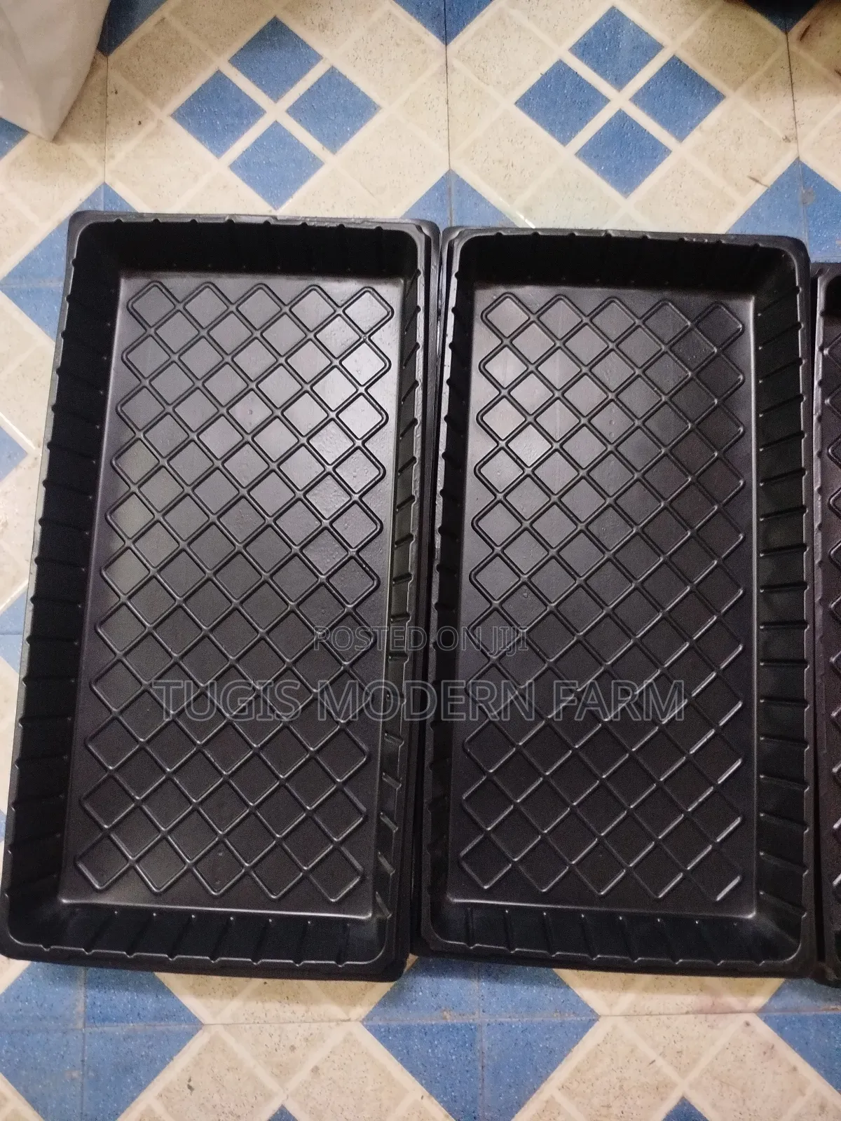 Hydroponic Planting Trays