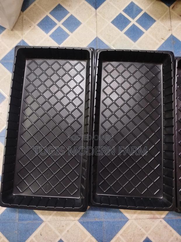 Hydroponic Planting Trays - main view