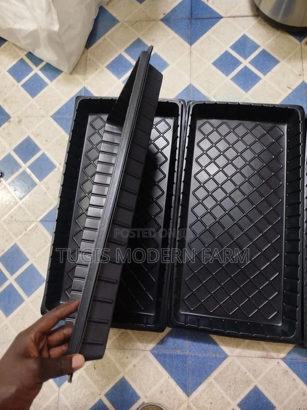 Hydroponic Planting Trays - thumbnail 2