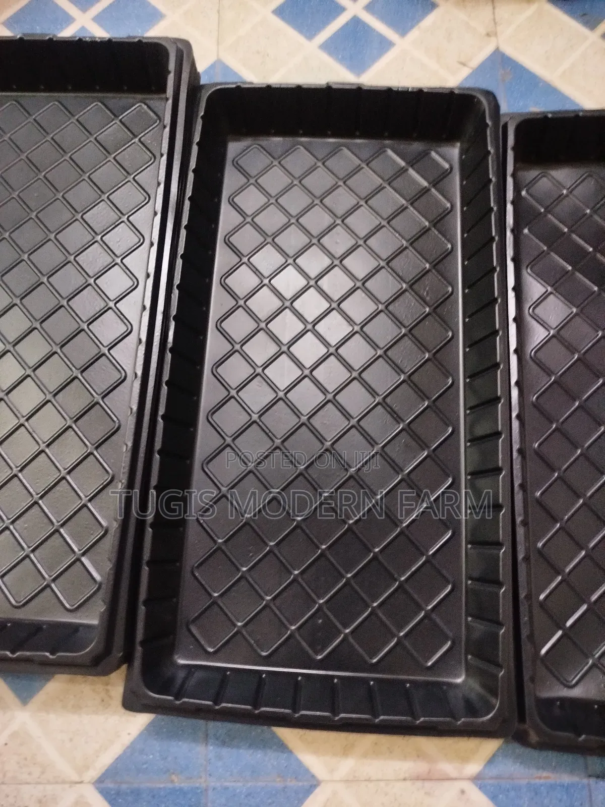Hydroponic Planting Trays