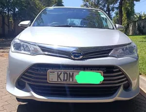 Toyota Corolla Fielder 2016 Silver