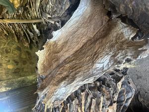 Cow and Donkey Hides and Skin - main view