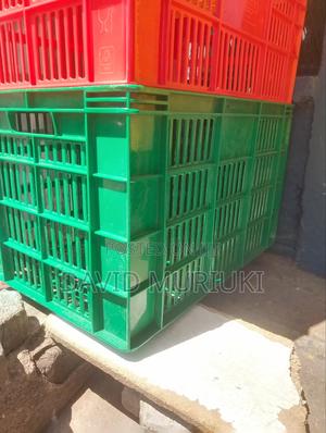 Ken Poly Big Sizes Crate - thumbnail 2