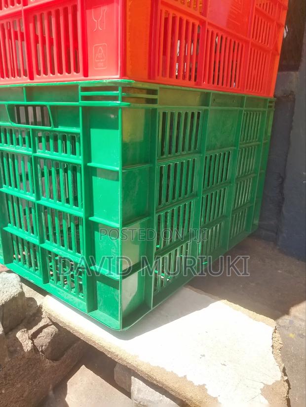 Ken Poly Big Sizes Crate - thumbnail 3