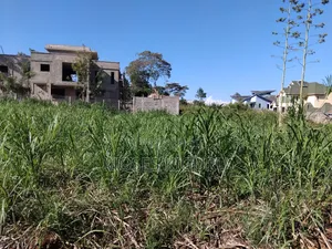 Githingiri, Thika Golf View Estate, 1/4 Plot for Sale