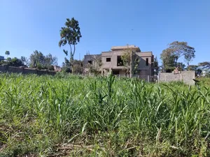 Githingiri, Thika Golf View Estate, 1/4 Plot for Sale