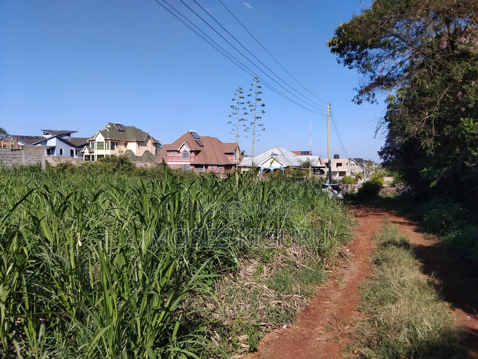 Githingiri, Thika Golf View Estate, 1/4 Plot for Sale