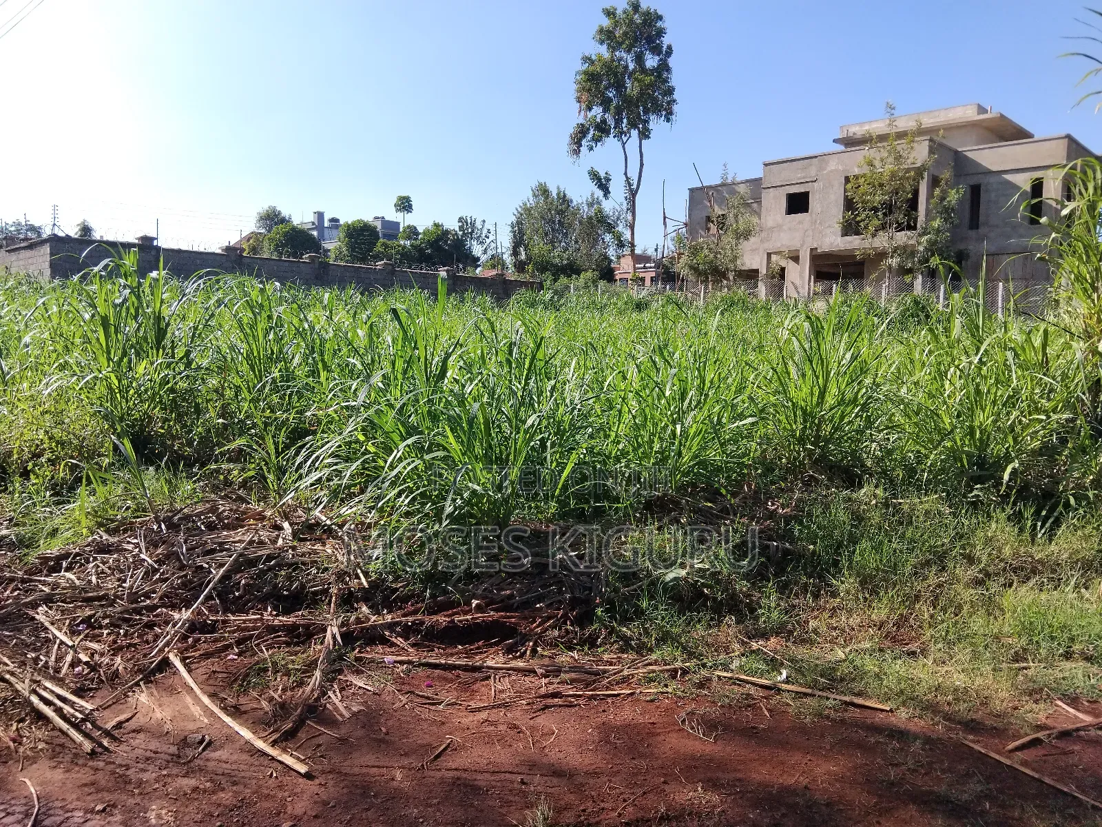 Githingiri, Thika Golf View Estate, 1/4 Plot for Sale