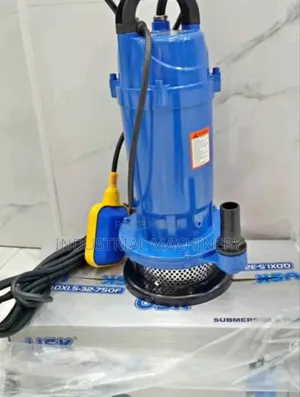 Shallow Well Pump