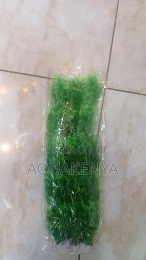 Plastic Plants,Decor Planta - main view