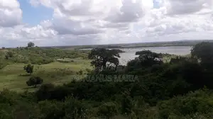 Malindi 21.5 Acre Fully Developed Farm