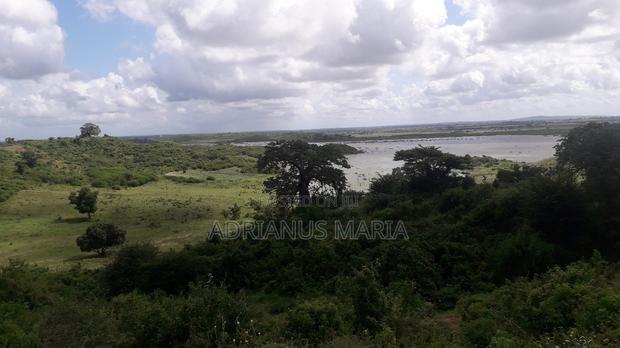 Malindi 21.5 Acre Fully Developed Farm - thumbnail 5