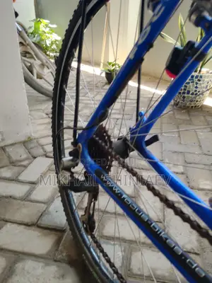 German Bycycle
