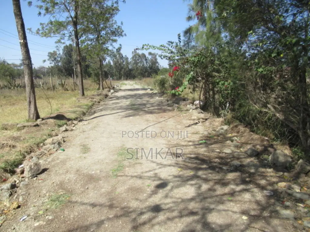 0.5-Acre Plots for Sale in Karen