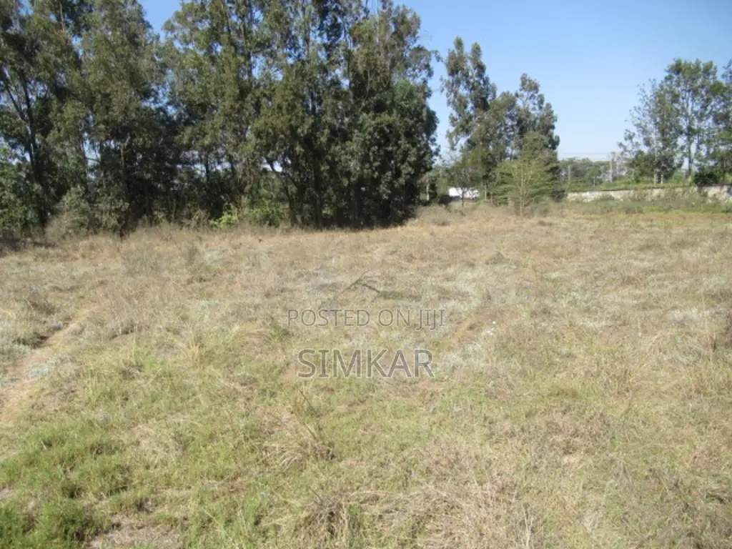 0.5-Acre Plots for Sale in Karen