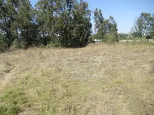 0.5-Acre Plots for Sale in Karen