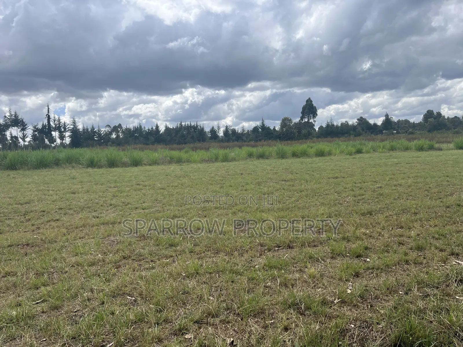 Nyahururu Shamba for Sale