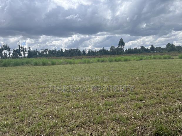 Nyahururu Shamba for Sale - thumbnail 4