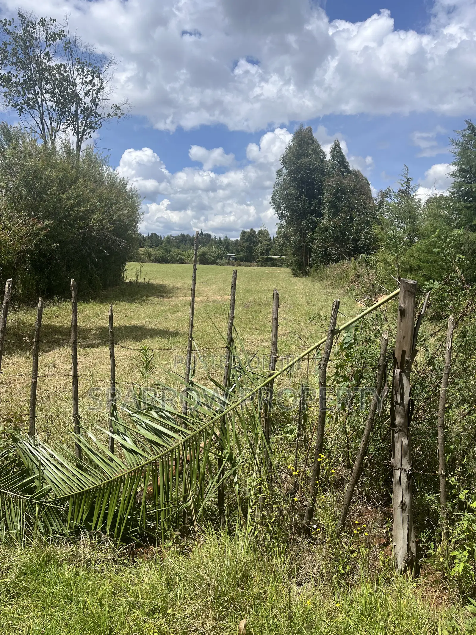 Nyahururu Shamba for Sale