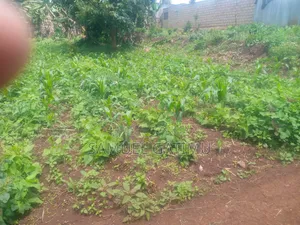 Quick Plot for Sale