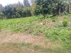 Quick Plot for Sale