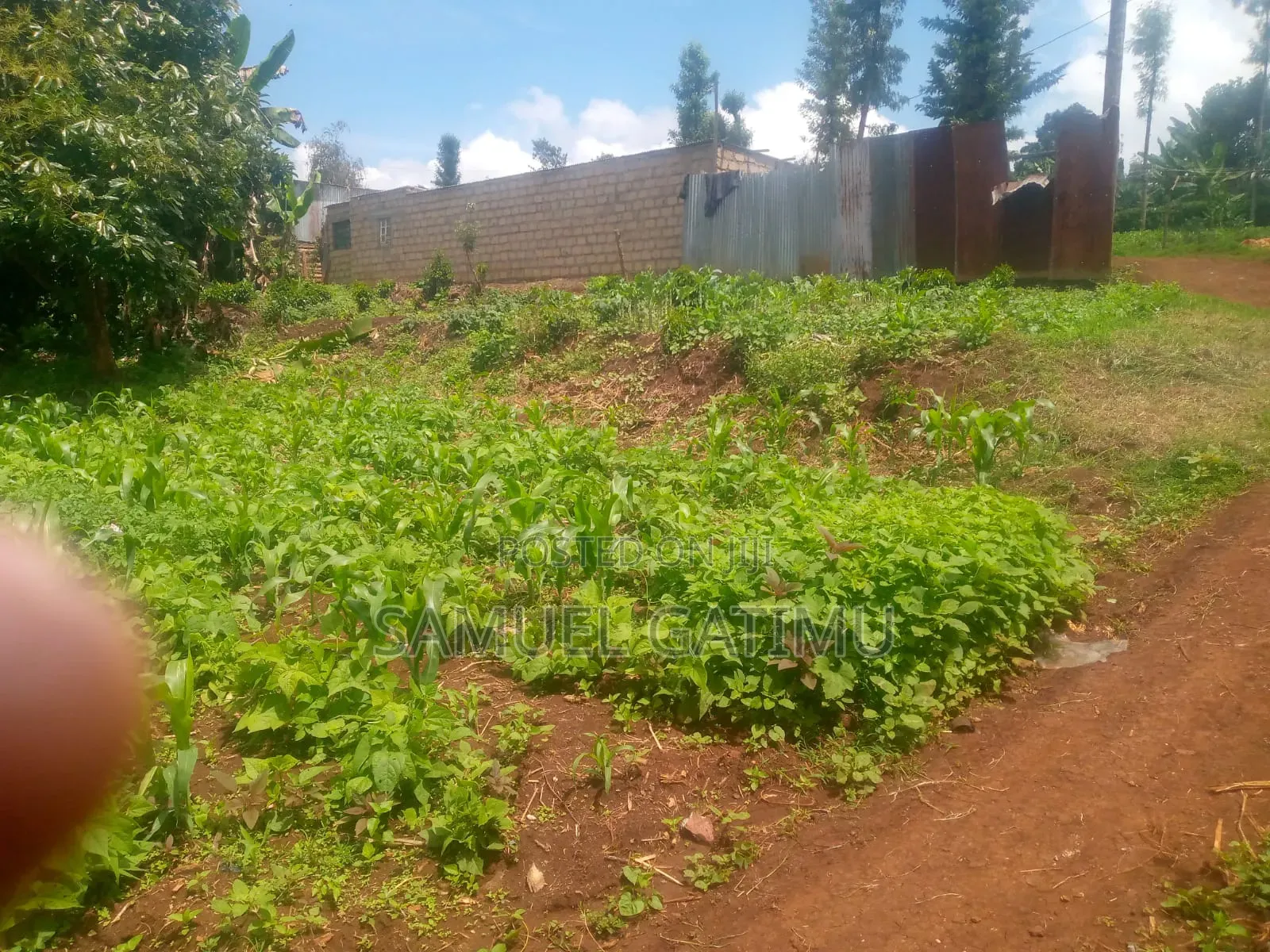 Quick Plot for Sale