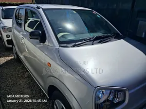 Suzuki Alto 2017 Silver