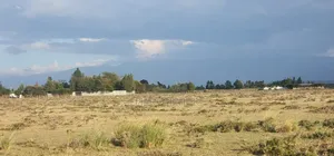 Prime 1-Acre Land for Sale – Baraka, Nanyuki