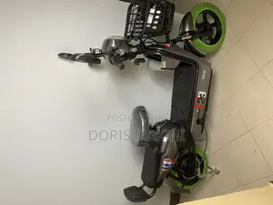 Electric Bike