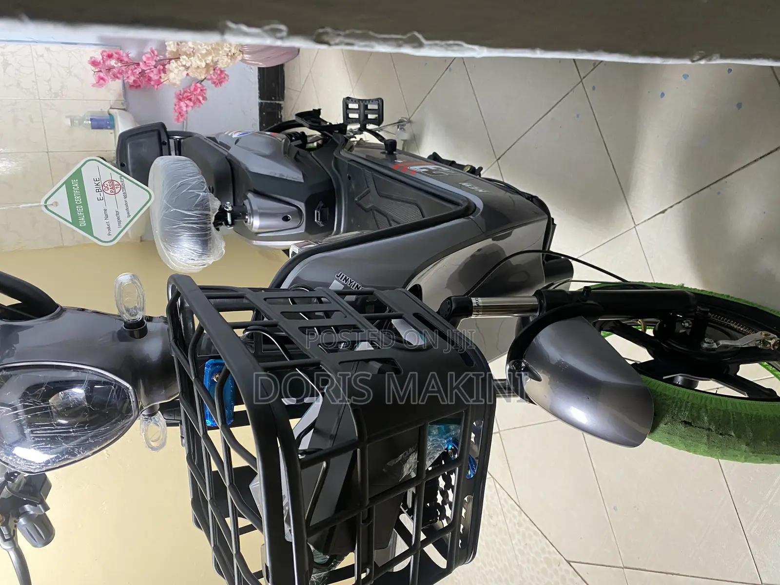 Electric Bike
