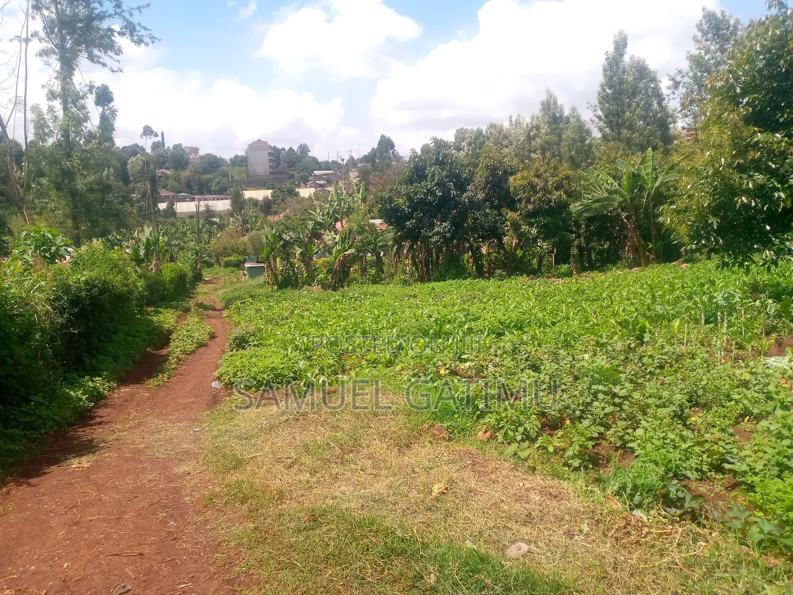 Quick Plot for Sale