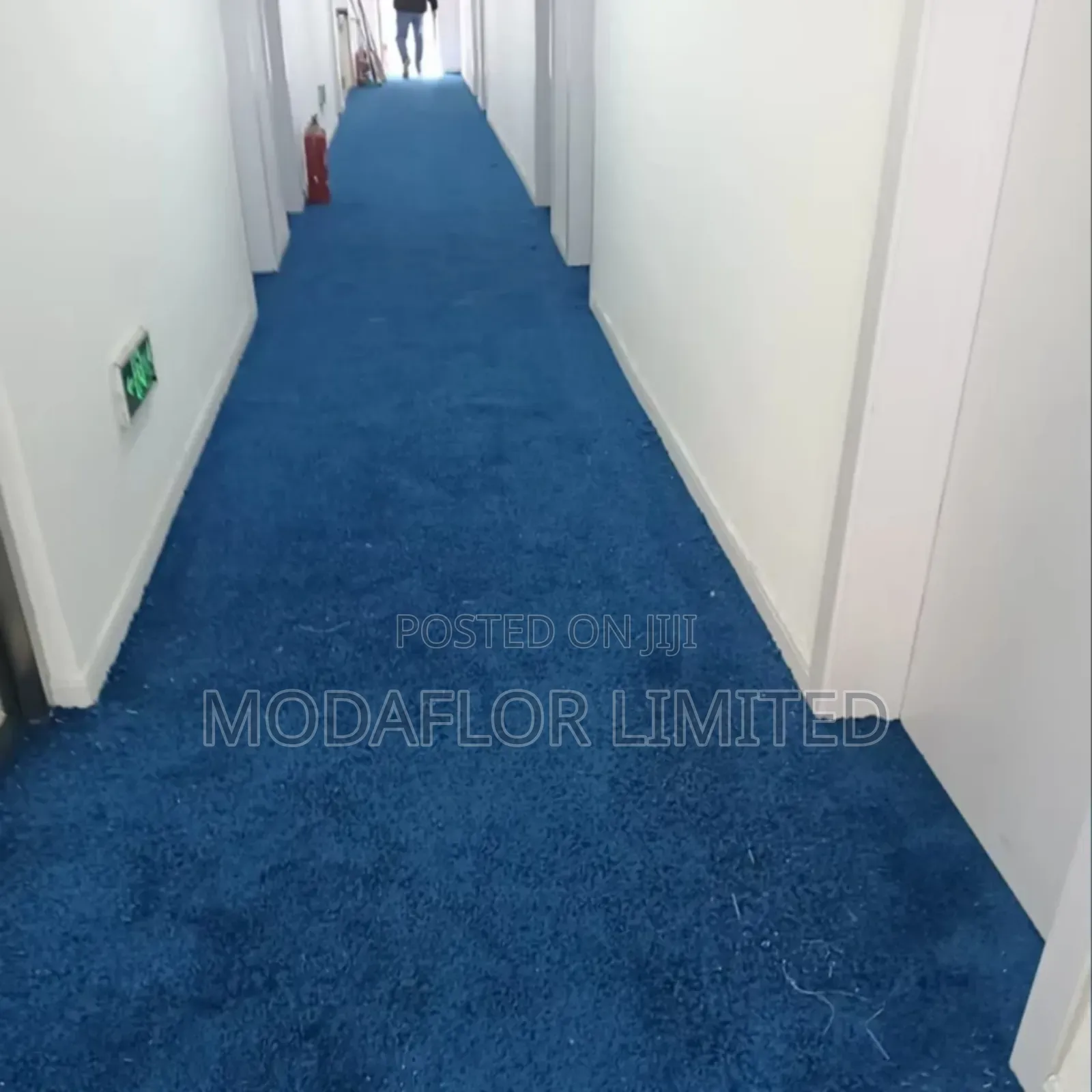 Elegant Wall to Wall Carpet for Modern Interiors