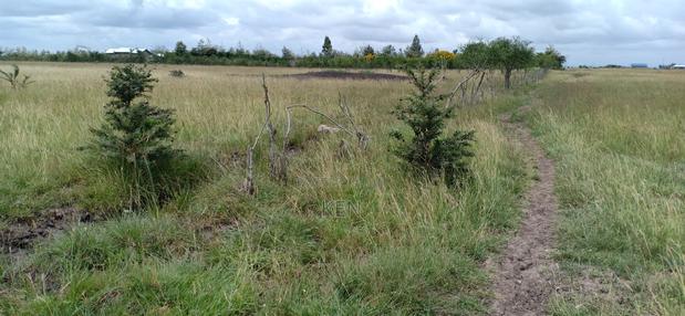 Juja Farm Athi - thumbnail 5