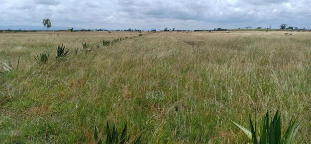 Juja Farm Athi - thumbnail 6