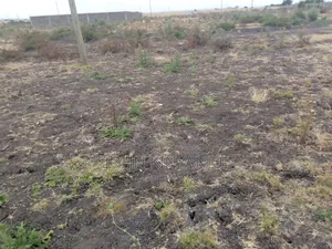 Land Along Eastern Bypass