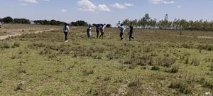 Plots for Sale - thumbnail 2