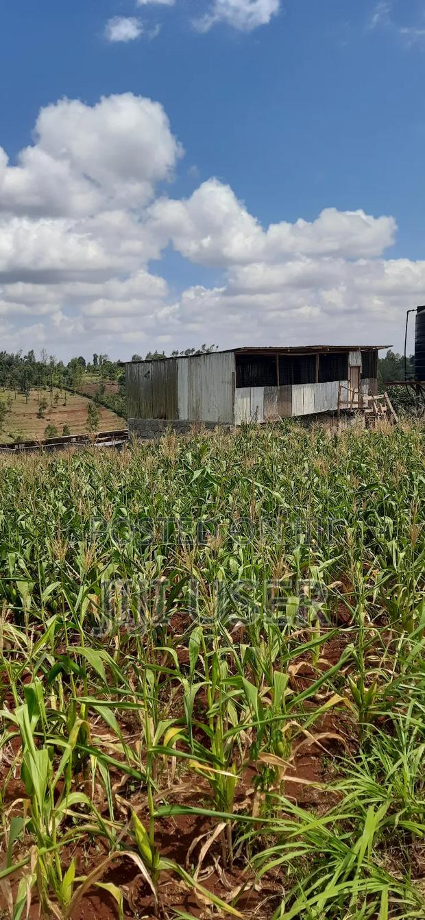 Land for Sale - thumbnail 5