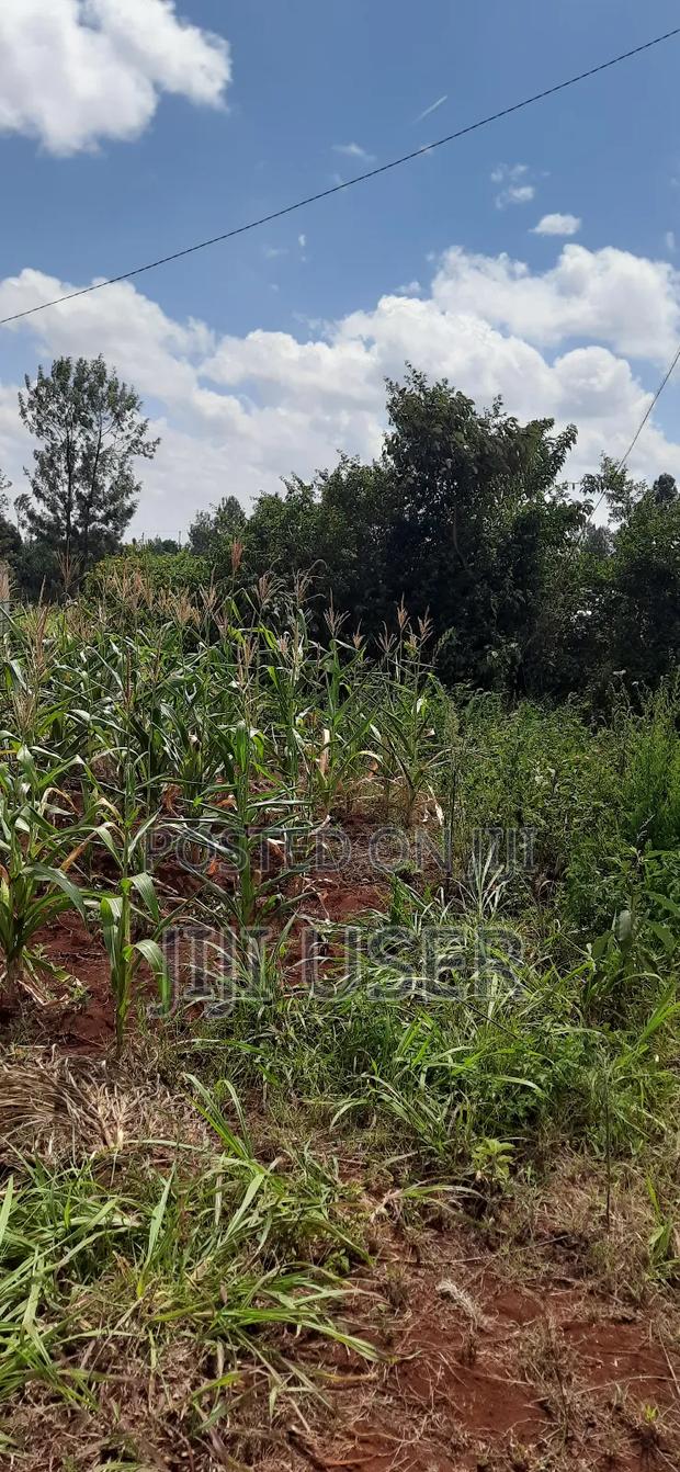 Land for Sale - thumbnail 6