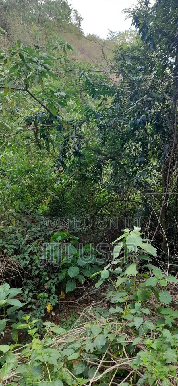 Land for Sale - thumbnail 7