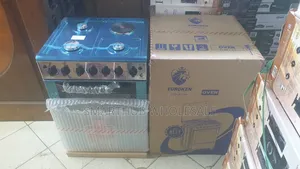 Euroken 3+1 60*65 Standing Cooker