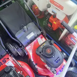 Emas Gasoline Lawn Mower 173cc 5hp
