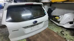 Subaru Forester Xt Rear Tailgate / Boot Door – Original Ex-Japan