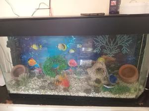 Aquarium With Light and Pump - main view