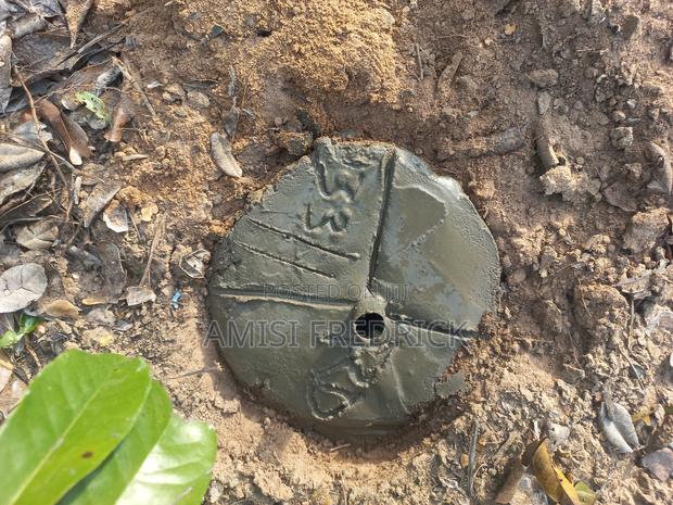 50x100 Plot - main view