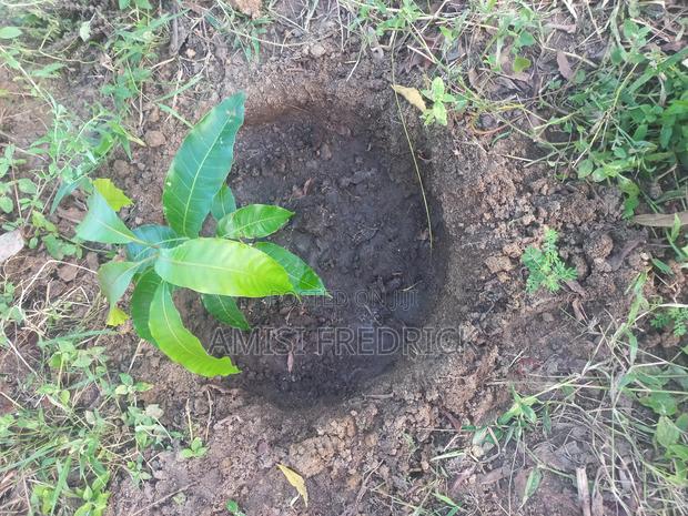 50x100 Plot - thumbnail 2