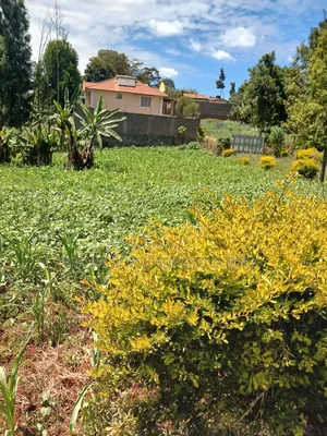 Property for Sale in Muthiga Wambaa Road