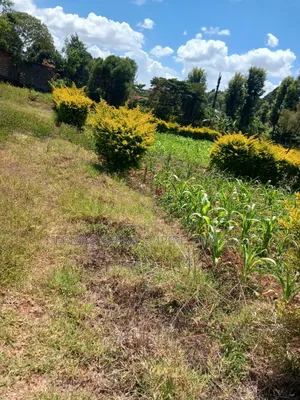Property for Sale in Muthiga Wambaa Road