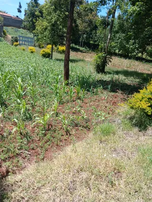 Property for Sale in Muthiga Wambaa Road