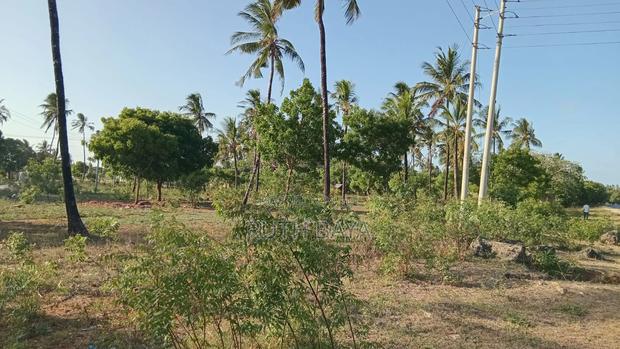 Land and Plots - thumbnail 3